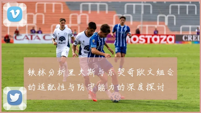 铁林分析里夫斯与东契奇欧文组合的适配性与防守能力的深度探讨