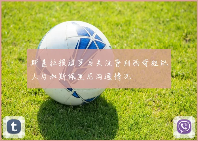 斯基拉报道罗马关注普利西奇经纪人与加斯佩里尼沟通情况